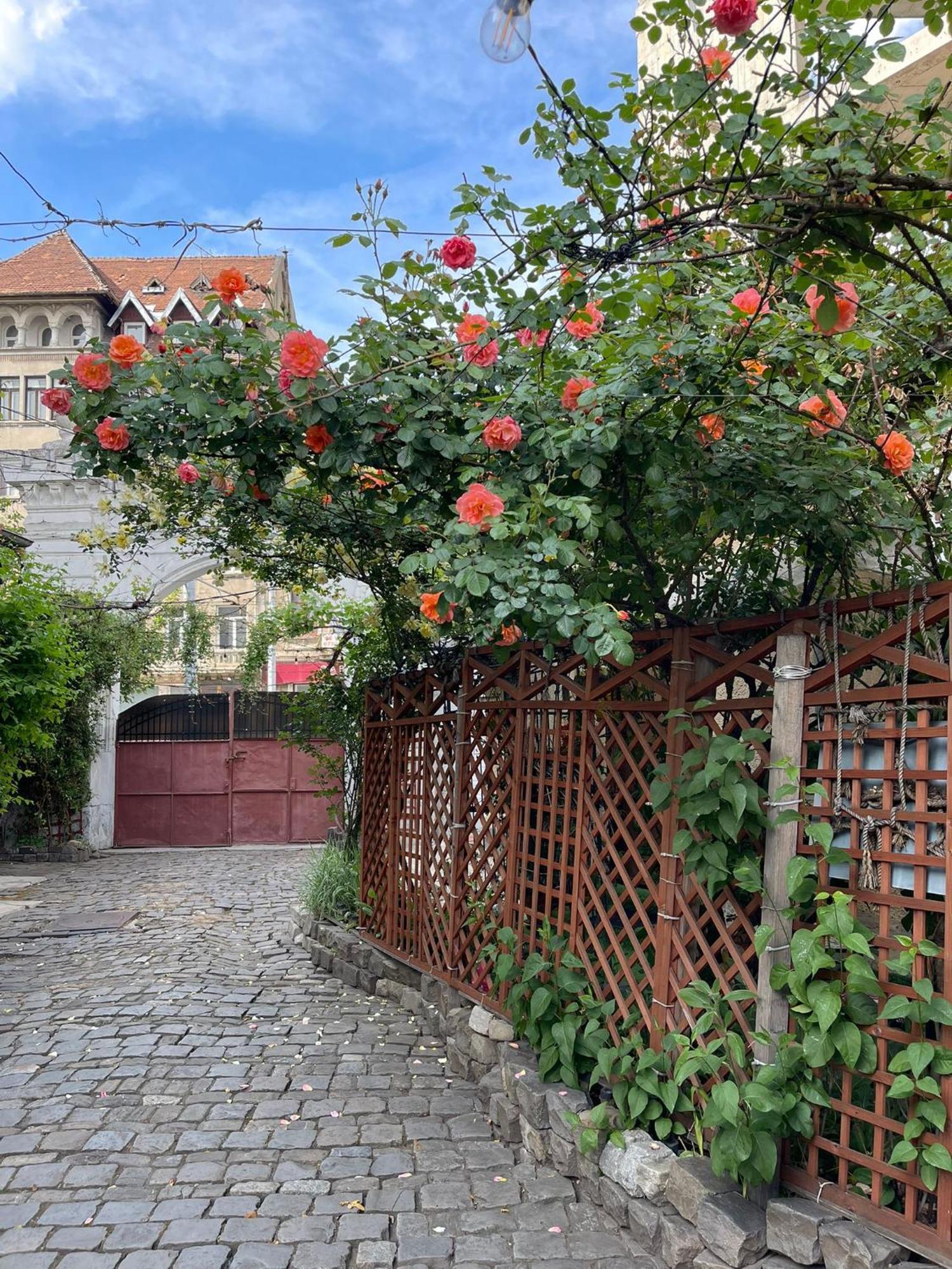 City Garden Apartments Бухарест Экстерьер фото
